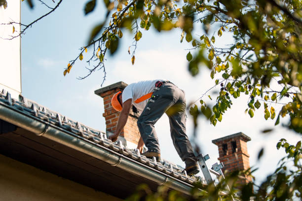 Best Sealant for Roof  in Springville, IA